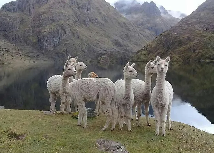 Gasthof Cusco Homestay Kinsaccocha Pisac